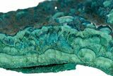 Teal Botryoidal Chrysocolla and Malachite - Chile #310147-1